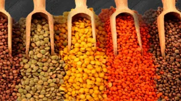 Lentils.webp